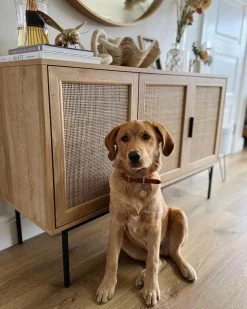 Aparador Com 3 Portas Castanho Claro Pasco