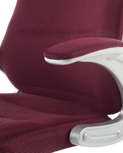 Cadeira De Escritorio Bordeaux Premier