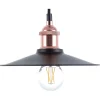 Candeeiro De Teto Em Metal Preto E Cor De Cobre Swift S