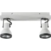 Candeeiro De Teto Metal Preto E Branco 2 Luzes Baro
