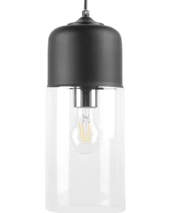 Candeeiro De Teto Preto Purus