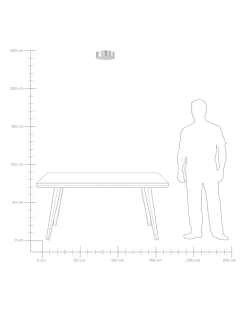 Candeeiro De Teto Preto Rena