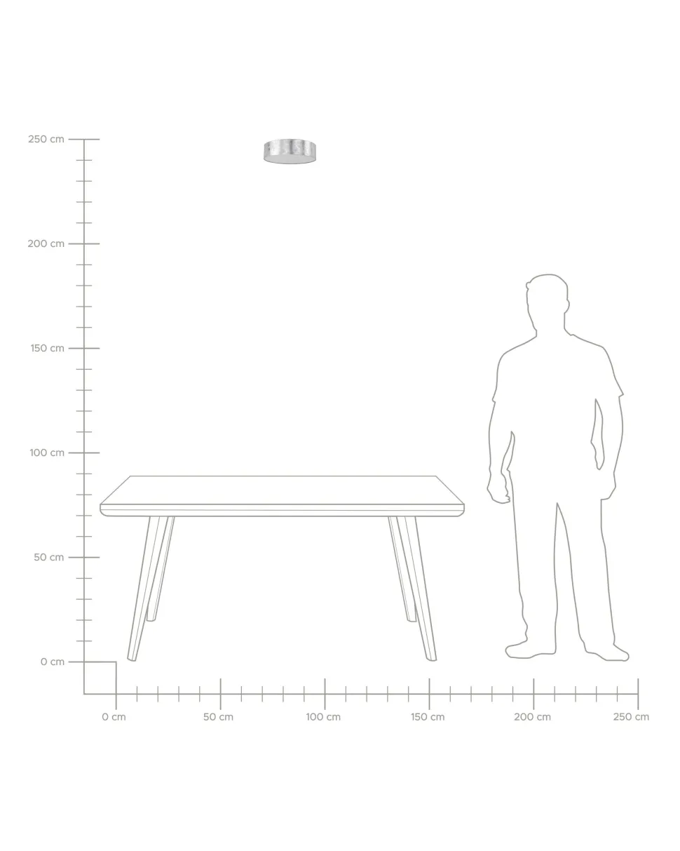 Candeeiro De Teto Preto Rena