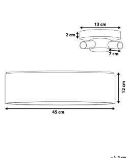 Candeeiro De Teto Preto Rena