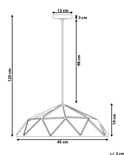 Candeeiro De Teto Preto Senia