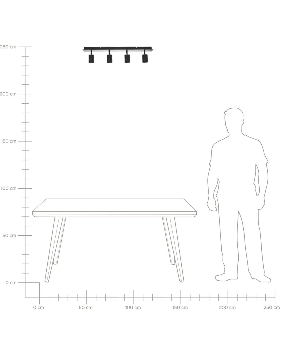 Candeeiro De Teto Preto Tigris