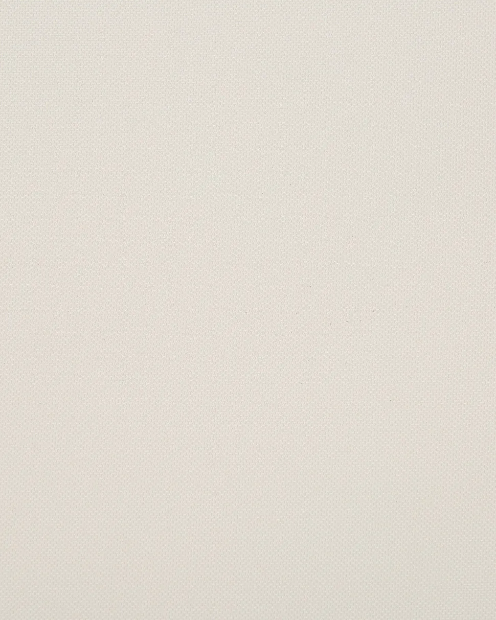 Conjunto 2 Cadeiras Madeira Clara E 2 Lonas Creme E Padrao Palmeiras Cine