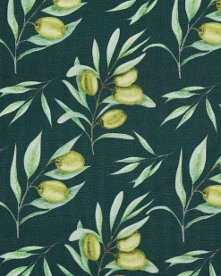 Conjunto 2 Cadeiras Madeira Clara E 2 Lonas Creme E Padrao Oliveira Cine