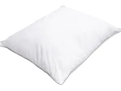 Conjunto De 2 Almofadas Com Enchimento De Poliester 50 X 60 Cm Diran