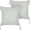 Conjunto De 2 Almofadas Decorativas Verde Menta 42 X 42 Cm Hakone