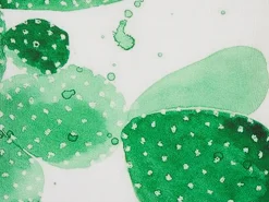 Conjunto De 2 Almofadas De Jardim Verde 45 X 45 Cm Ostina