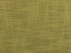 Conjunto De 2 Almofadas Decorativas Verde Azeitona 45 X 45 Cm Lynchis