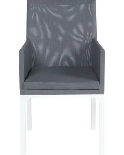 Conjunto De 4 Cadeiras De Jardim Cinzentas Bacoli