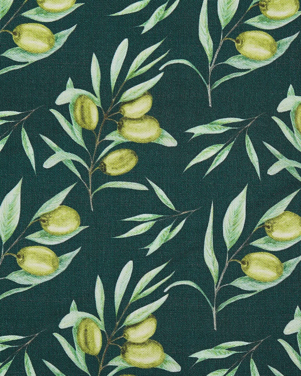 Conjunto De 2 Cadeiras Madeira Clara E 2 Lonas Cinzentas E Padrao Oliveira Cine