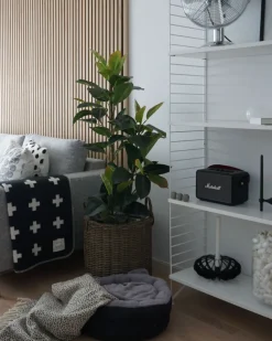 Conjunto De 2 Vasos Para Plantas Cor De Areia Bitola