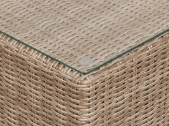 Conjunto De Jardim Modular 6 Pessoas Em Rattan Castanho Claro A Direita Contare