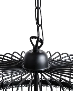 Lustre Preto Celon