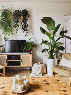 Movel De Tv Com 2 Portas E 2 Prateleiras Em Rattan Cor De Madeira Clara Pasco