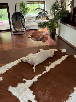 Pele De Vaca Em Castanho E Branco 3-4 M² Nasqu