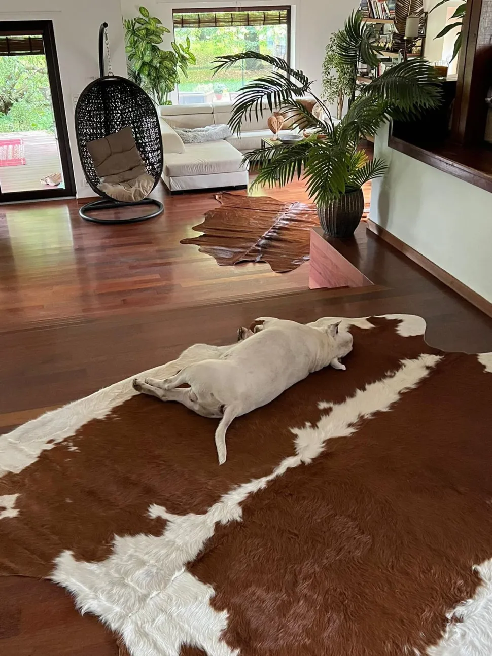 Pele De Vaca Em Castanho E Branco 3-4 M² Nasqu