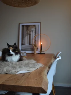 Pele Sintetica De Ovelha Creme Mungo