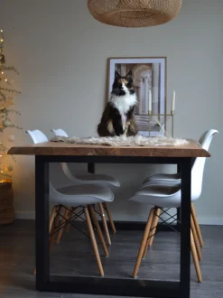 Pele Sintetica De Ovelha Creme Mungo