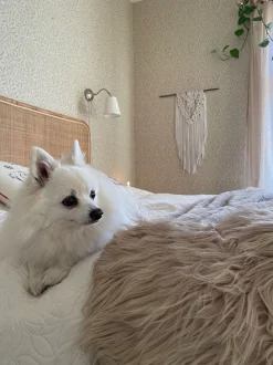 Pele Sintetica De Ovelha Creme Mungo