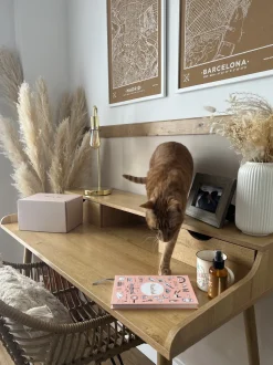 Secretaria Em Madeira Clara Com 2 Gavetas 120 X 60 Cm Lenora