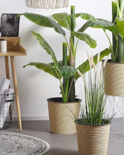 Secretaria Em Madeira Clara Com 2 Gavetas 120 X 60 Cm Lenora