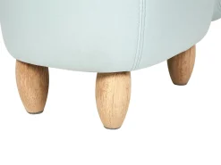 Tamborete Em Veludo Azul Claro Com Arrumação Hippo