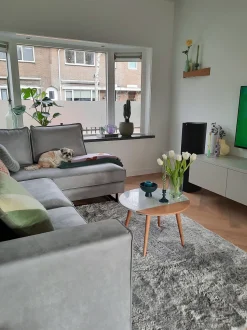 Tapete Cinzento Claro 200 X 300 Cm Evren