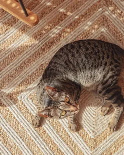 Tapete De Juta E Algodao Creme 140 X 200 Cm Pirli