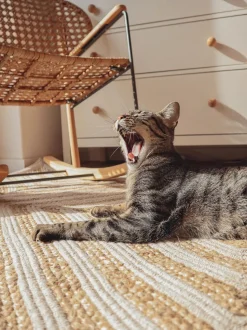 Tapete De Juta E Algodao Creme 140 X 200 Cm Pirli