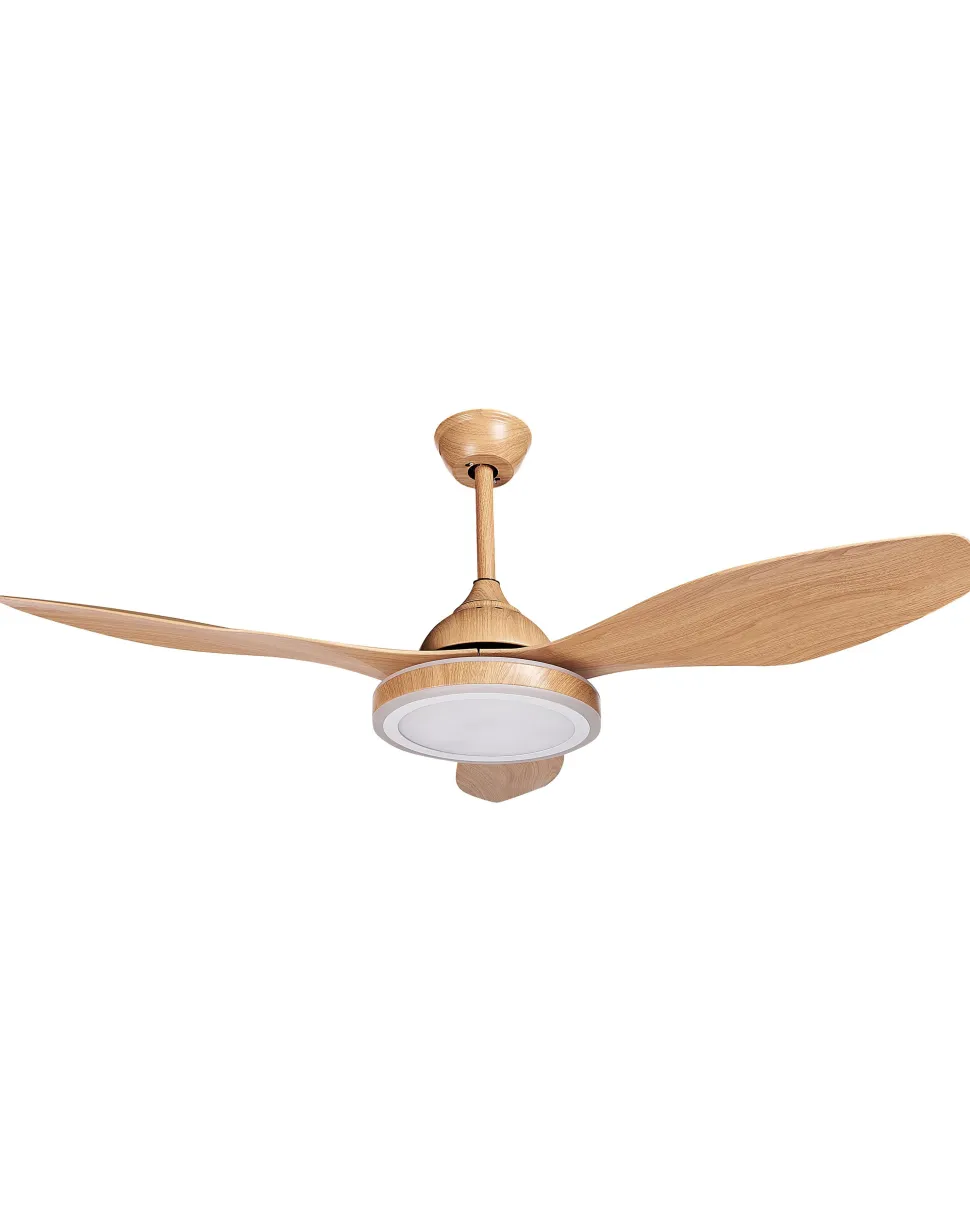 Ventoinha De Teto Castanha Com Iluminação Muddy